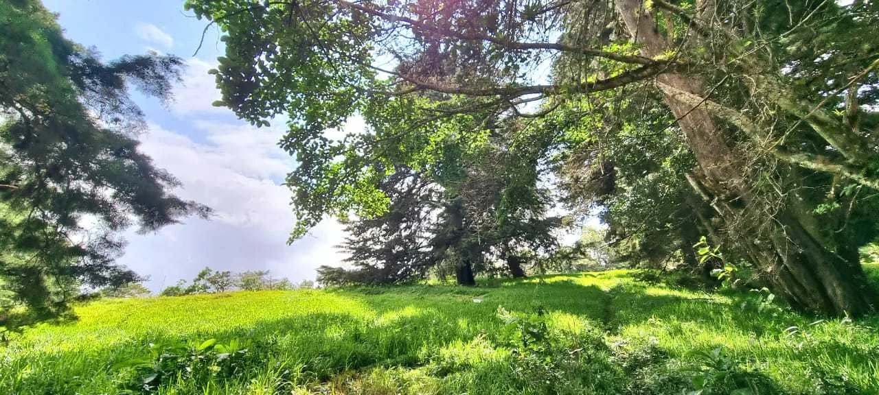 Se Vende Lote en San Isidro, Concepción, Heredia. - foto 3