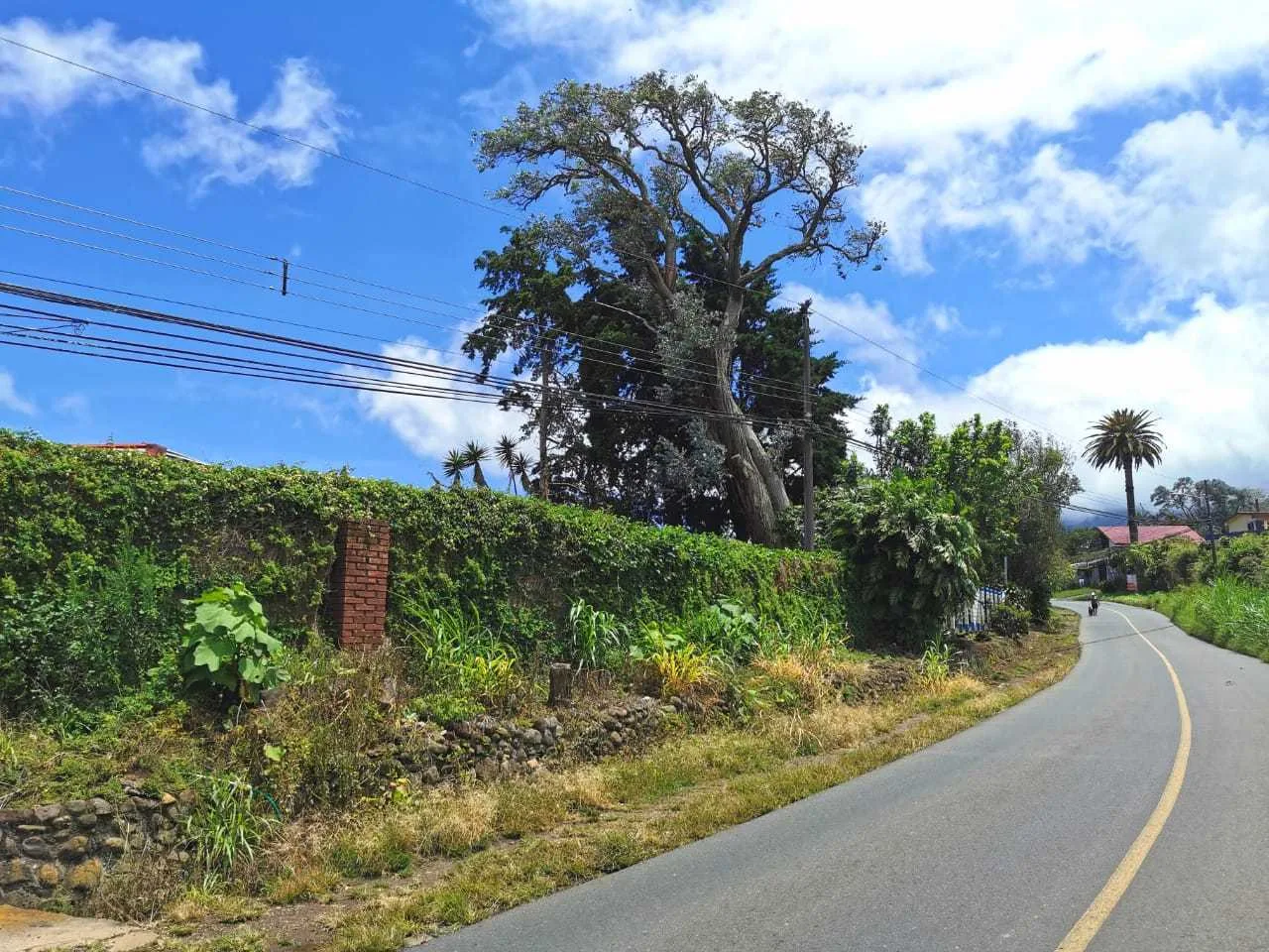 Se Vende Lote, San Isidro de Heredia. - foto 2