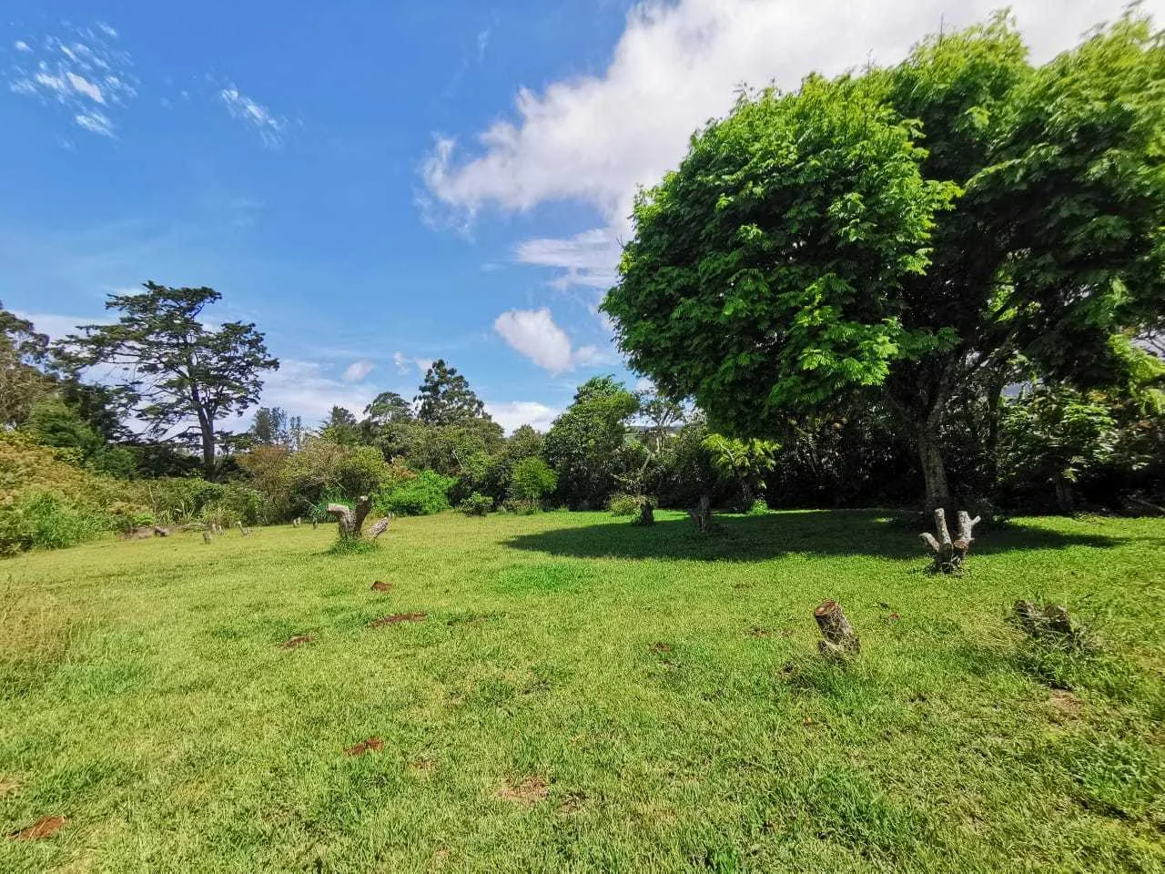Se Vende Lote, San Isidro de Heredia. - foto 4