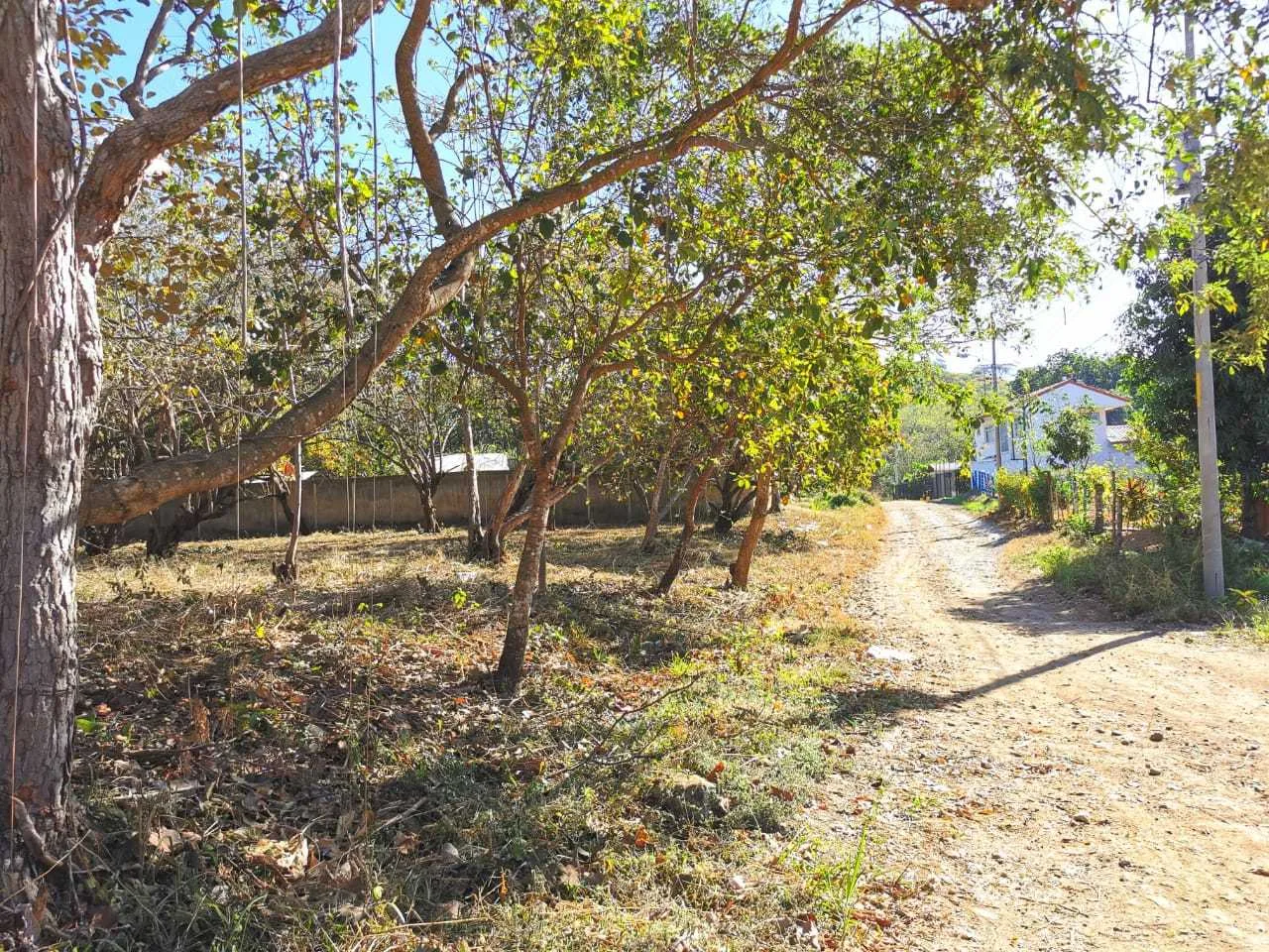 Lote en Venta, Orotina, Alajuela - foto 4
