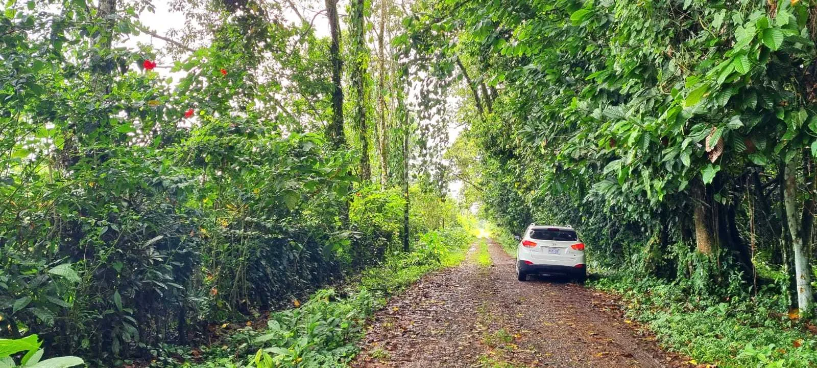 Se Vende Finca en Sarapiquí, Horquetas, Heredia . - foto 3