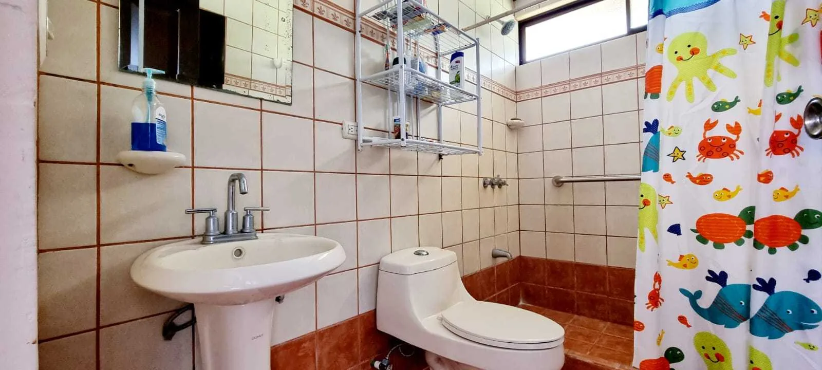 Se Vende Casa en Turrialba, San Rafael de Santa Cruz, Cartago. - foto 6