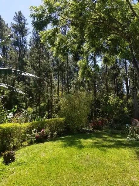 Se Vende Casa en Palmitos de Naranjo, Alajuela. - foto 3