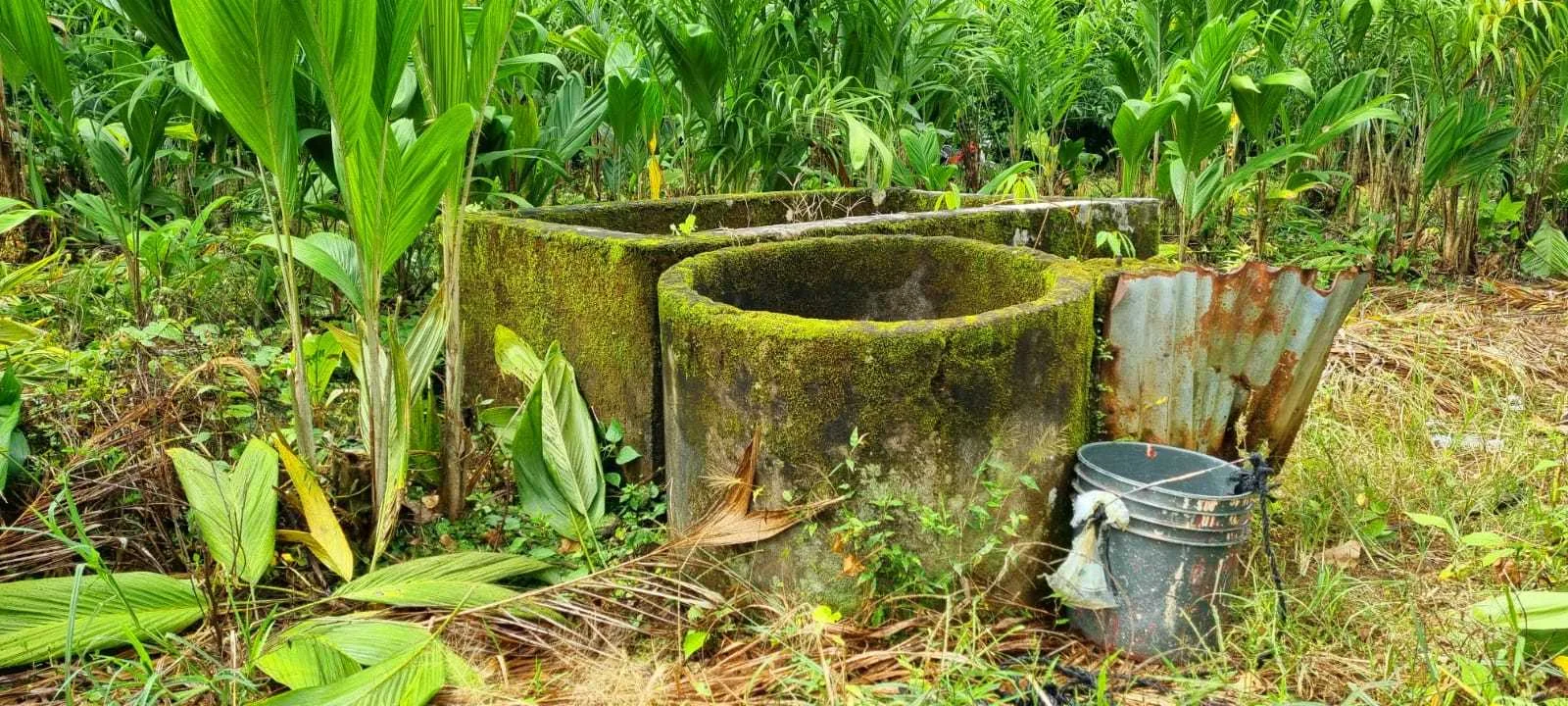 Se Vende Finca en Sarapiquí, Horquetas, Heredia . - foto 4