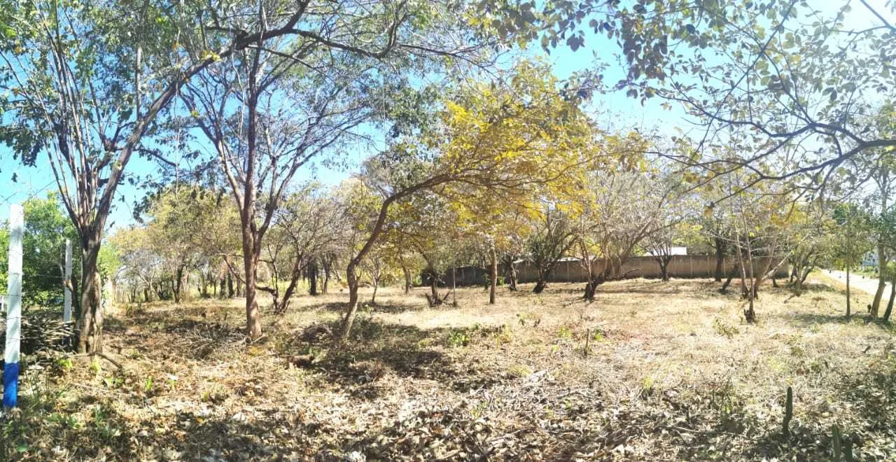 Lote en Venta, Orotina, Alajuela - foto 2