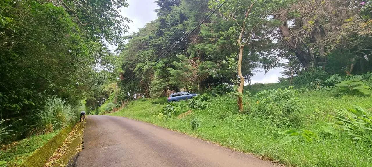 Se Vende Lote en San Isidro, Concepción, Heredia. - foto 4