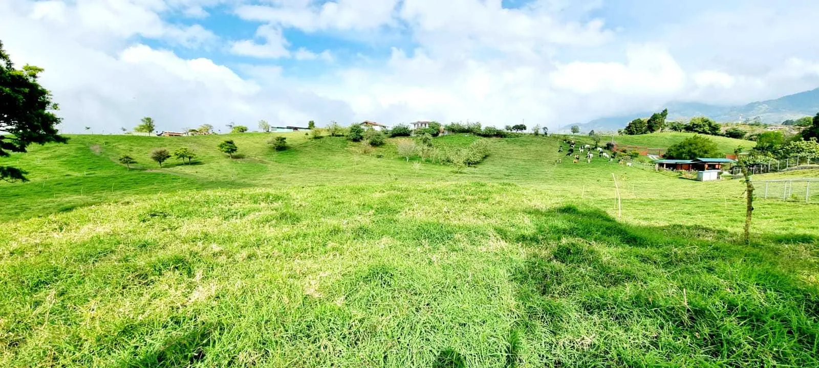 Se Vende Lote en San Rafael de Coronado, San José - foto 5