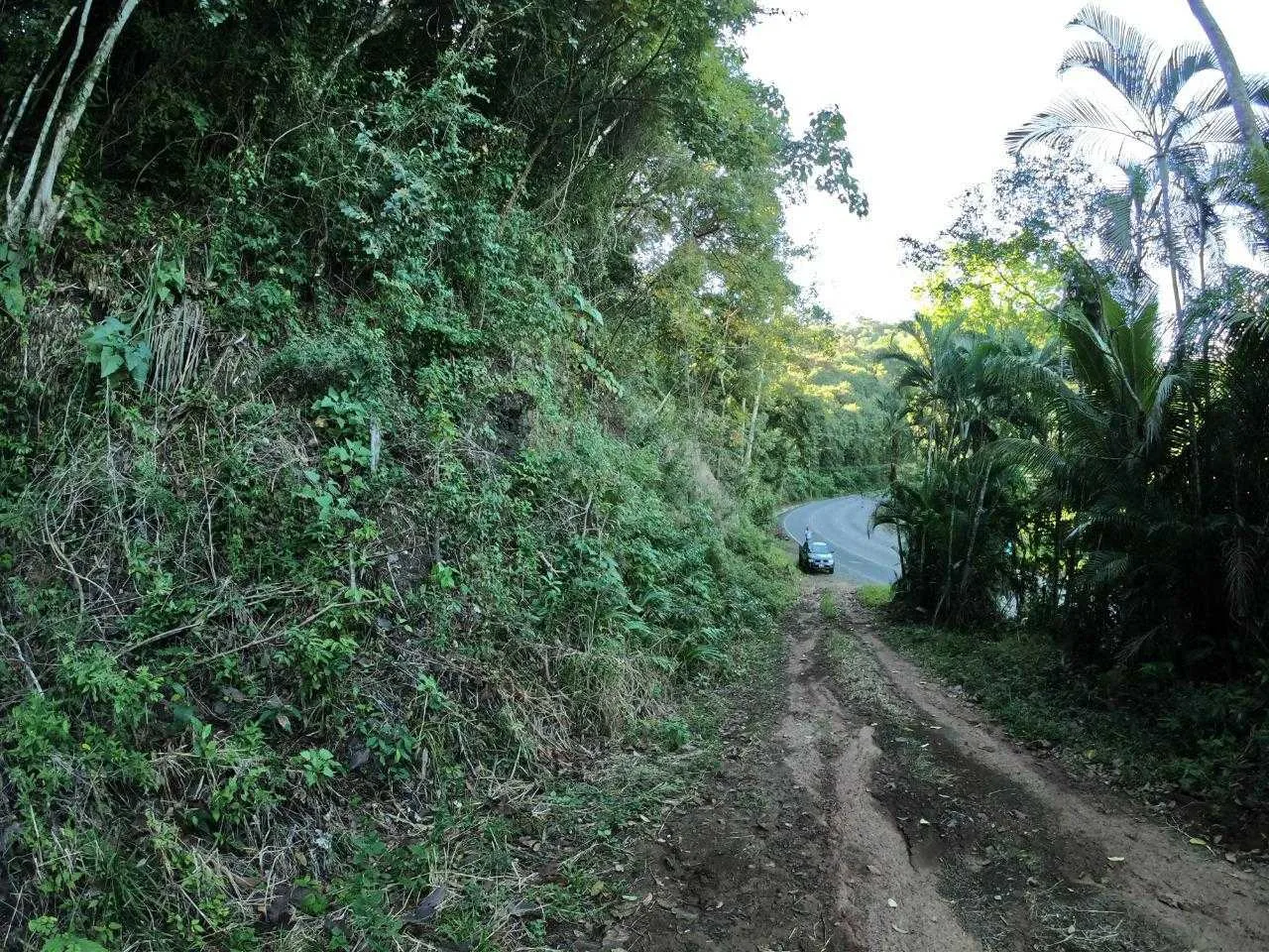 Se Vende Finca en Garabito, Jaco, Puntarenas. - foto 4