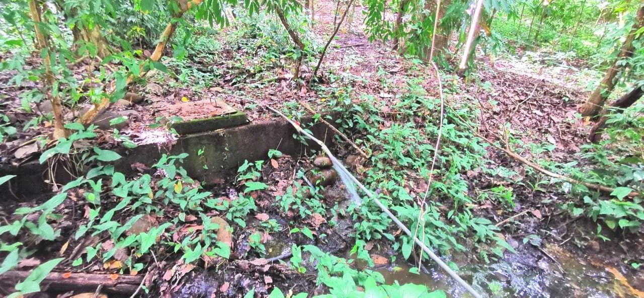 Finca en Venta, Abangares, Guanacaste - foto 4