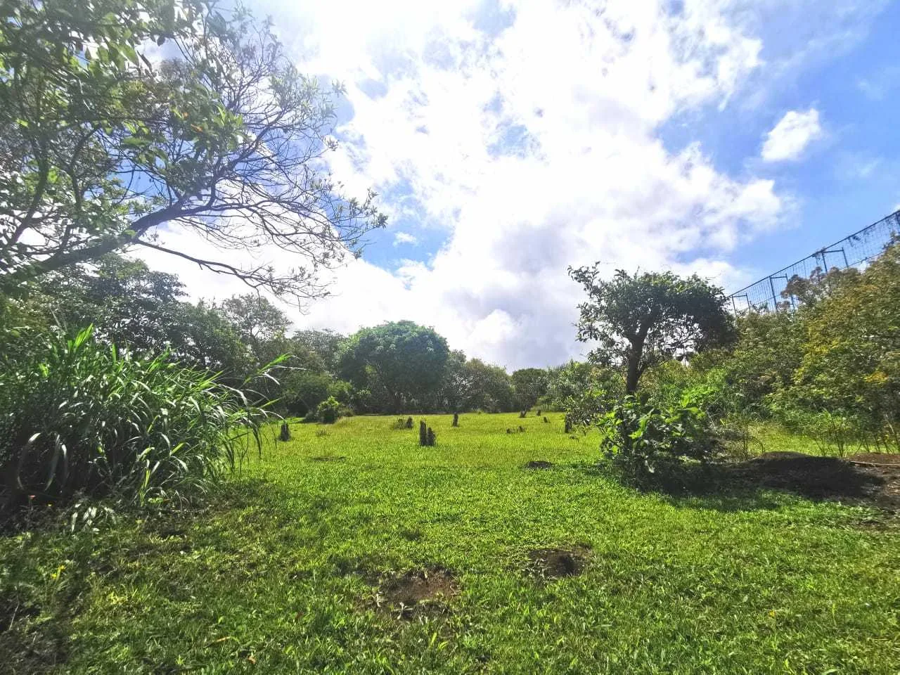 Se Vende Lote, San Isidro de Heredia. - foto 6