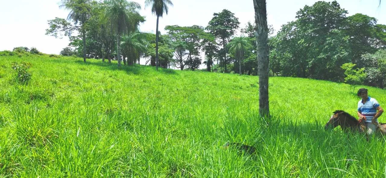 Finca en Venta, Abangares, Guanacaste - foto 6