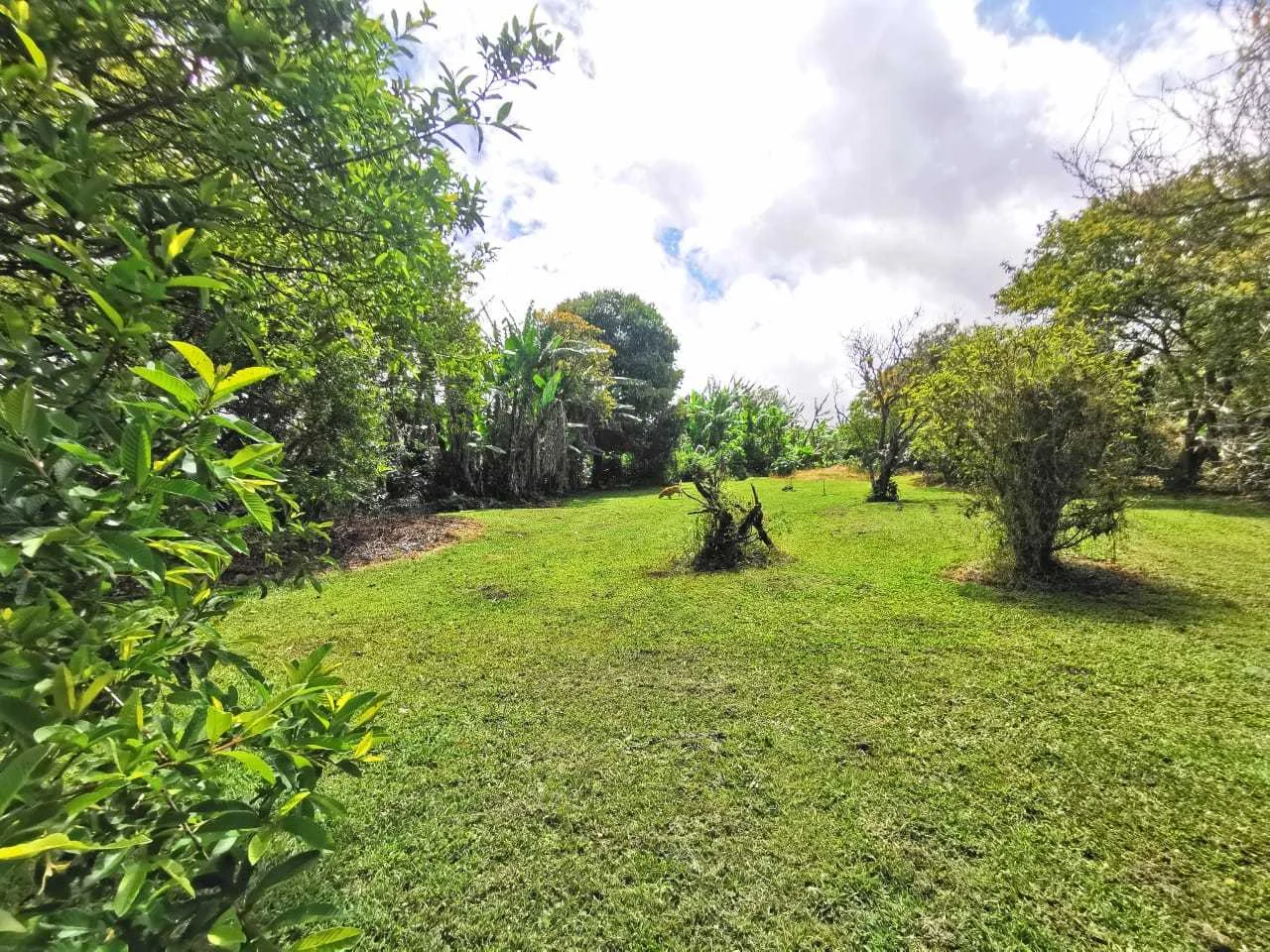 Se Vende Lote, San Isidro de Heredia. - foto 3