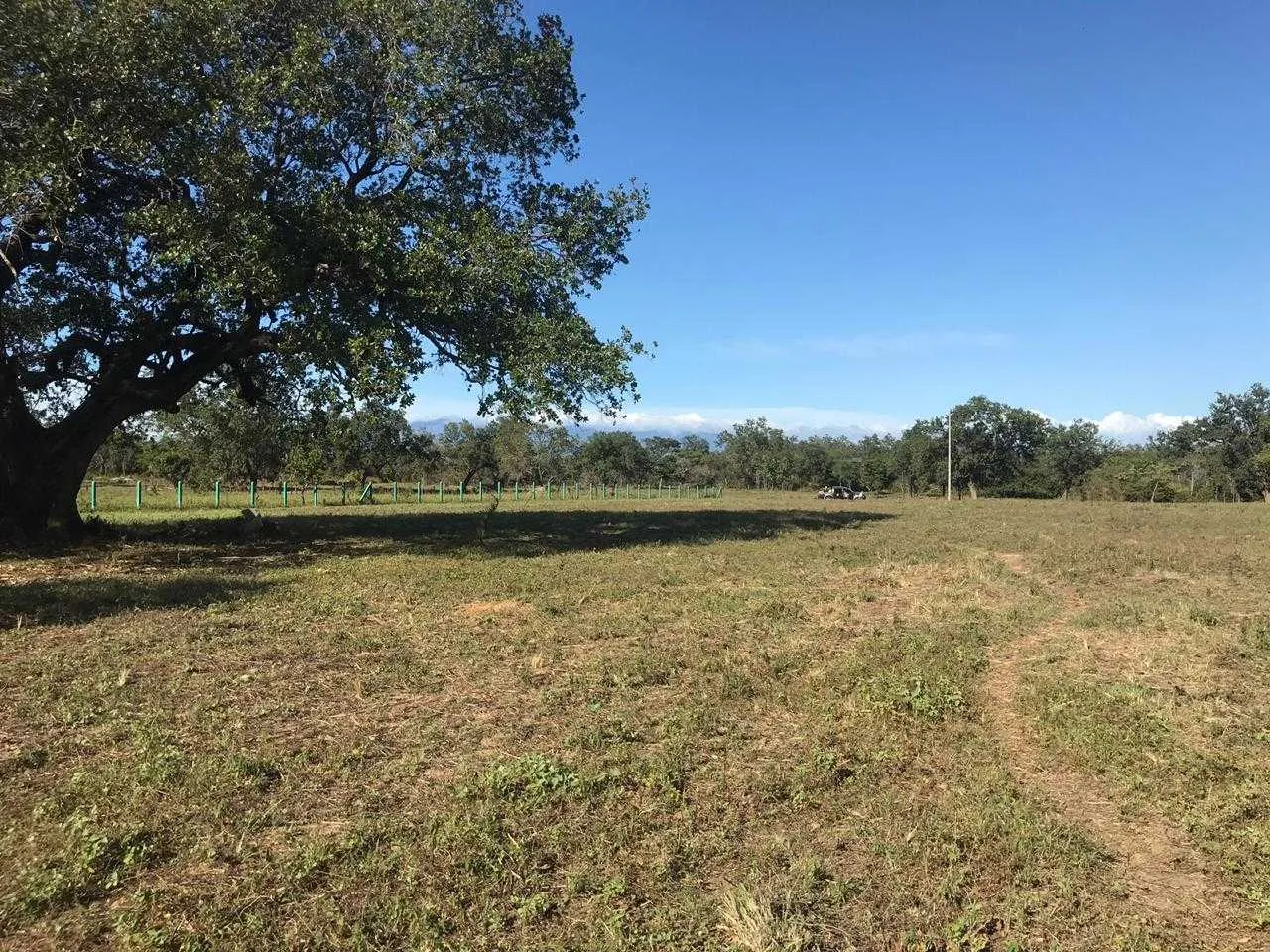Se Vende Finca, Liberia, Guanacaste. - foto 6