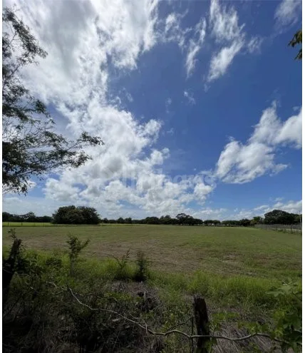 En venta propiedad con uso de suelo mixto en Filadelfia, Guanacaste. - foto 2
