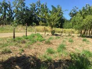 Venta de Lote plano barato - foto 6